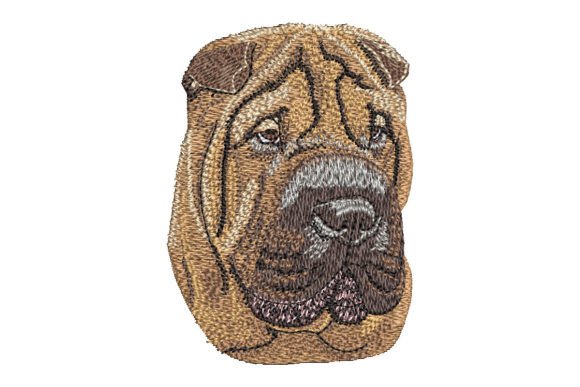 Chinese Shar-Pei: A Designer's Review for Craft Fairs
