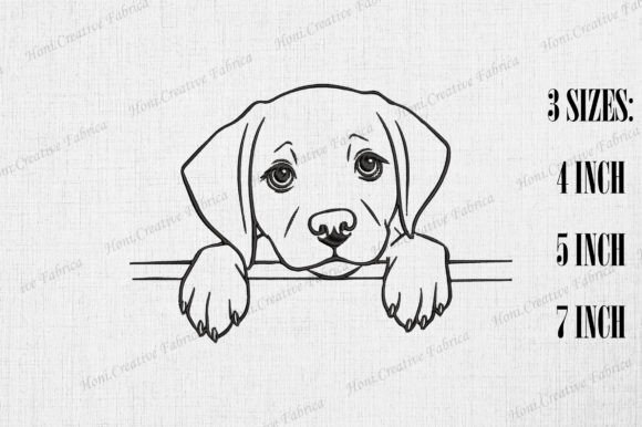 Cute Labrador Retriever Dog Peeking Wall