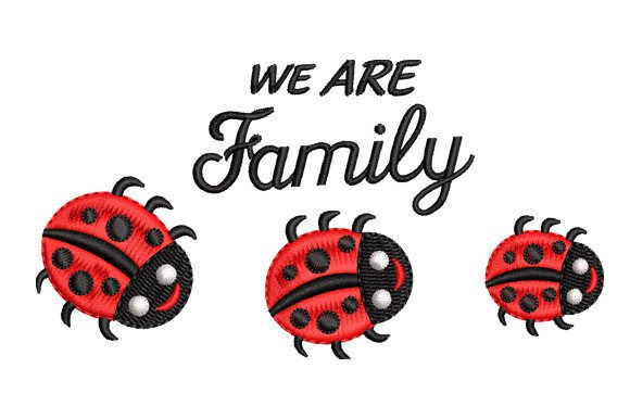 Lady Bug Family: A Designer's Review